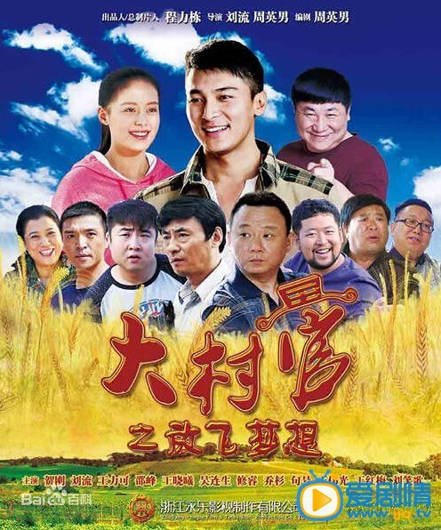电视剧大村官之放飞梦想海报