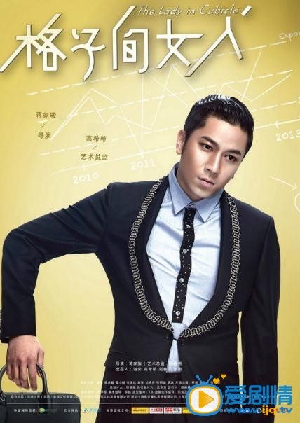 电视剧格子间女人海报