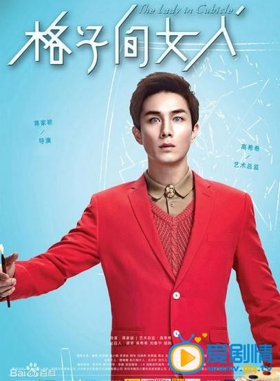 电视剧格子间女人海报