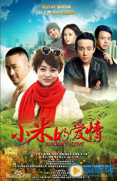 电视剧小米的爱情海报