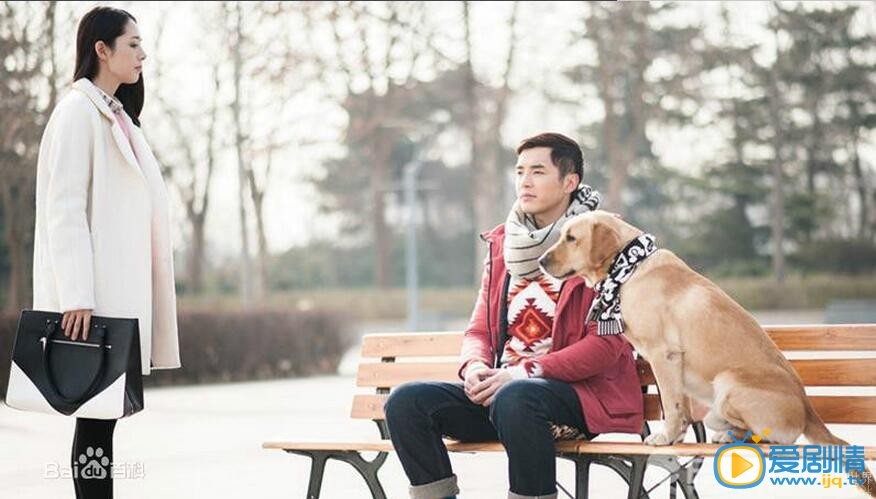 电视剧神犬小七2剧照