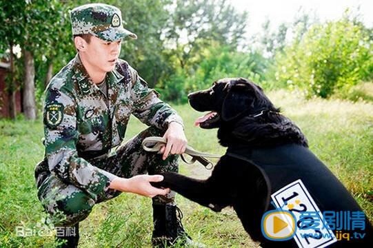 电视剧神犬小七2剧照