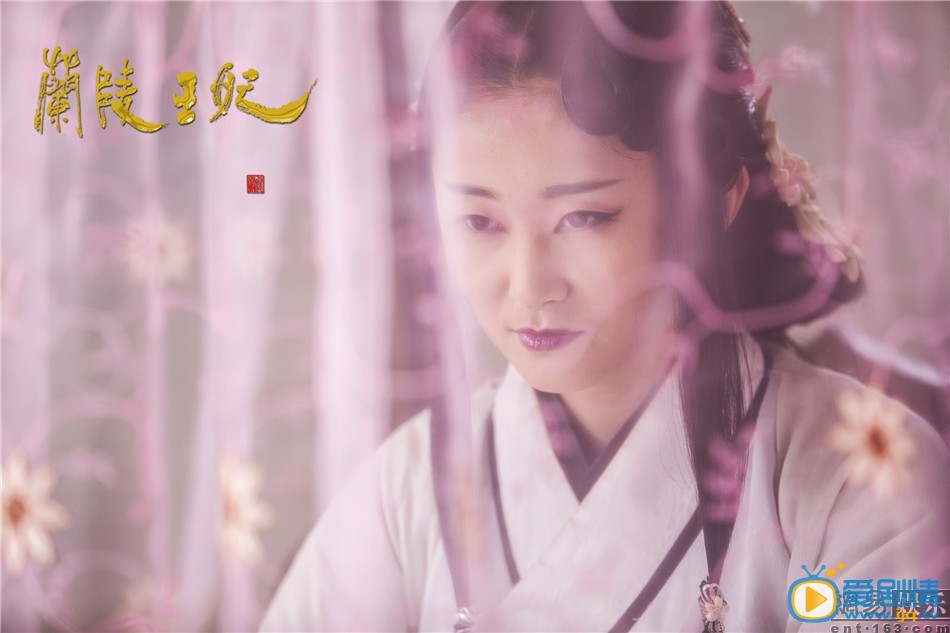 电视剧兰陵王妃剧照