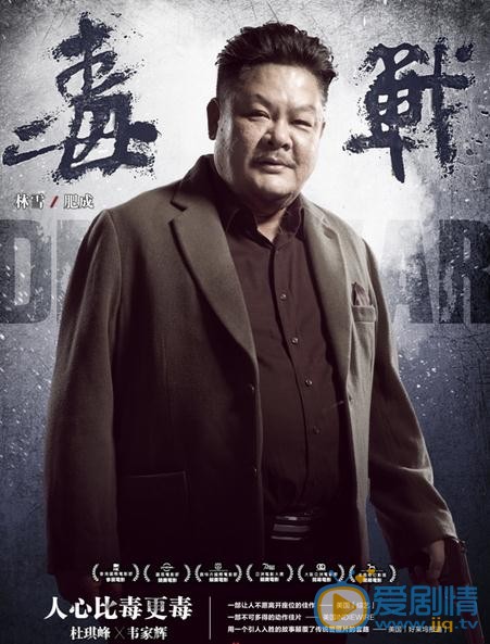 电影毒战海报