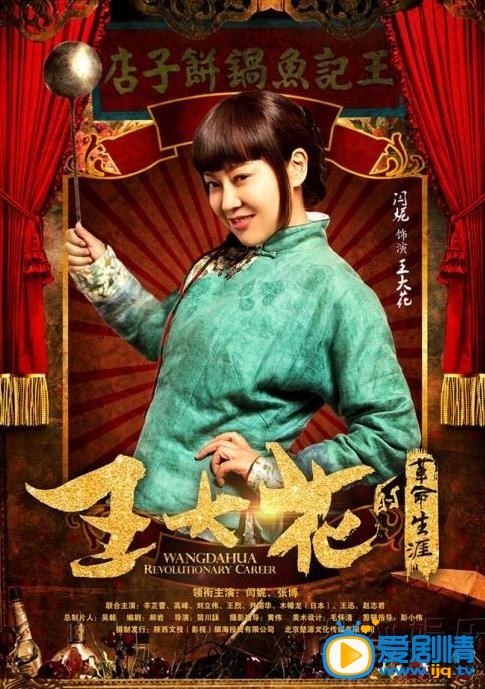 电视剧王大花的革命生涯海报