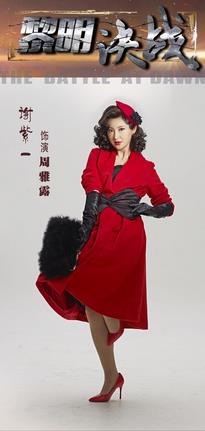 电视剧黎明决战海报