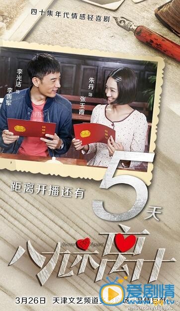 电视剧八九不离十海报