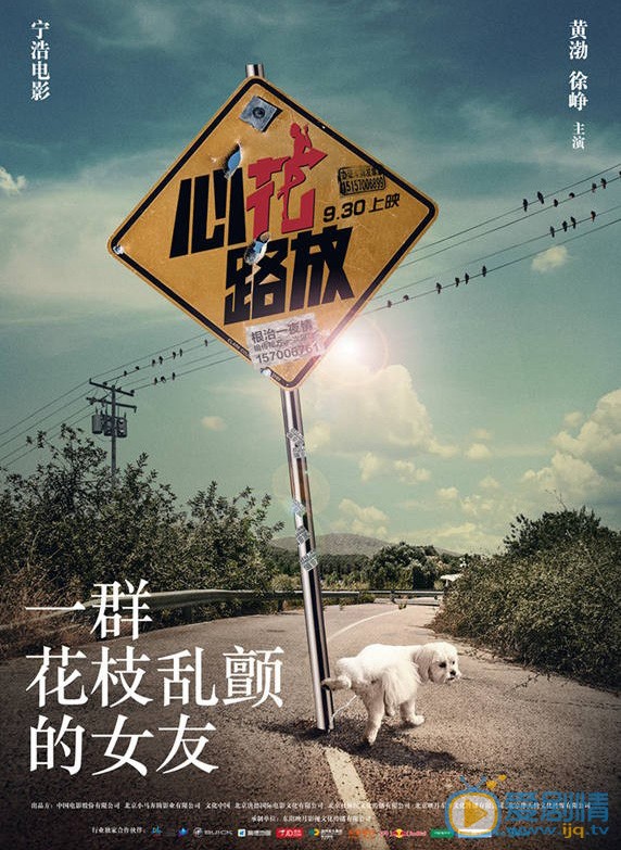 电影心花路放剧照