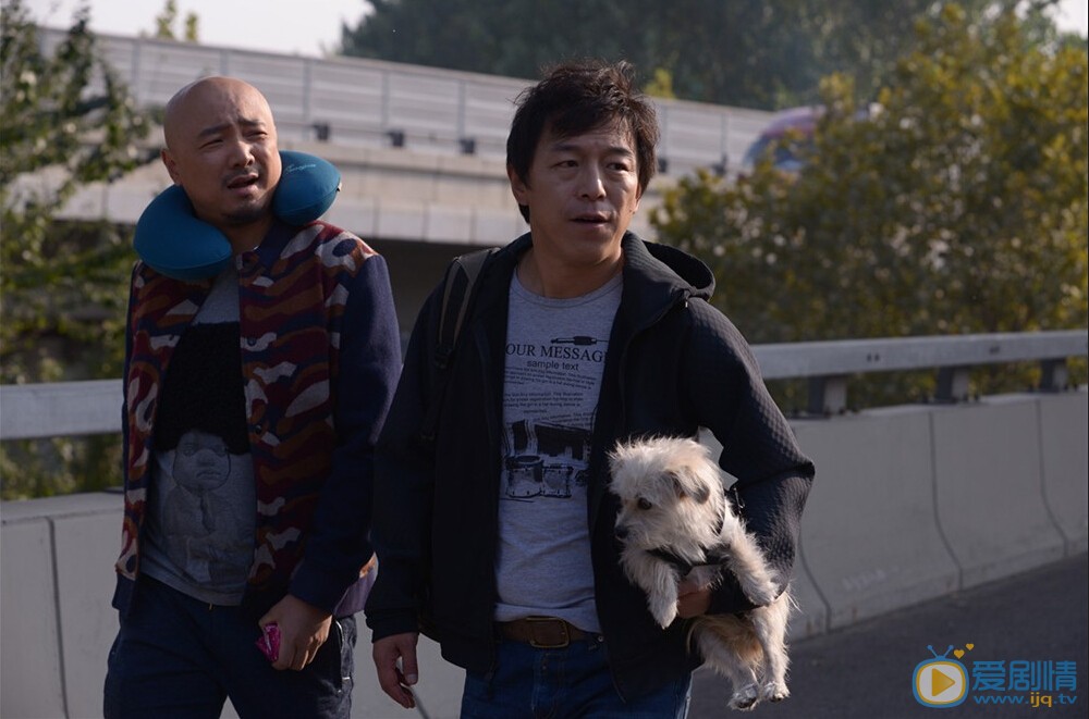 电影心花路放剧照