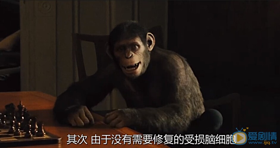 电影猩球崛起剧照